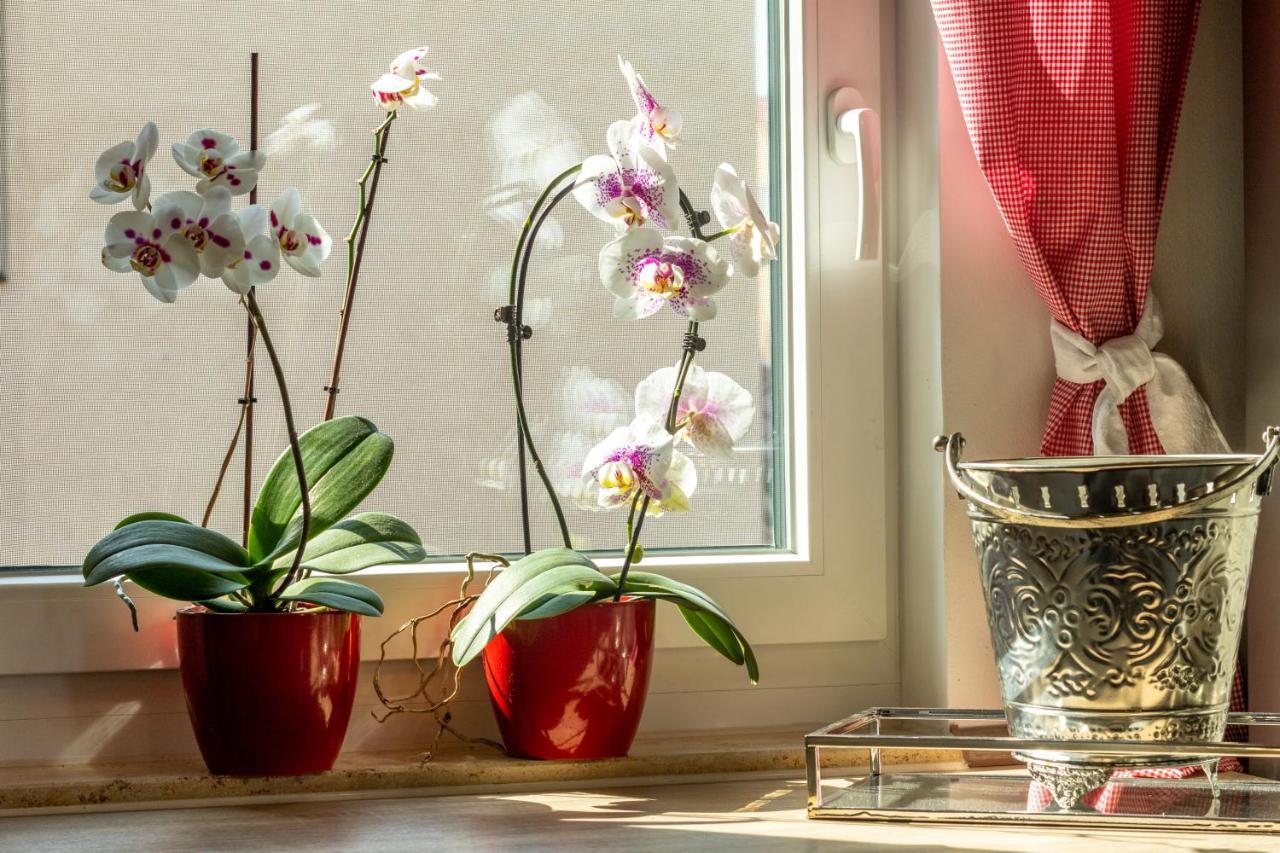 Ferienwohnung Jenzigblick Γιένα Εξωτερικό φωτογραφία